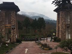 -宅天下装饰·匠心筑家(春熙店)