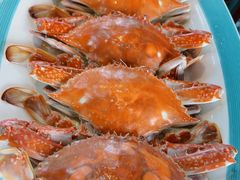 -柳莺湖上·湖景餐厅·江南菜(西湖店)