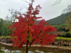 -穹窿山景区