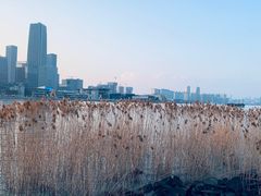 -上海山野camping·户外天幕烧烤·团建拓展营地