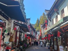 -九华山风景区