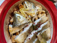 -1937青岛老味道·海肠捞饭·青岛菜(大鲍岛栈桥店)