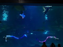 -福州罗源湾海洋世界旅游区