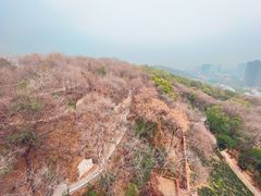 -宝通禅寺