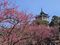 -无锡梅园公园