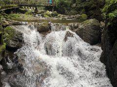 -牛背梁国家森林公园