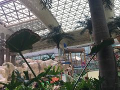 -杭州开元森泊度假乐园