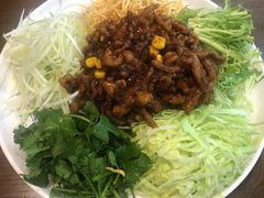 辛盤京酱肉丝-满园烤鸭·春饼(太原街万达店)