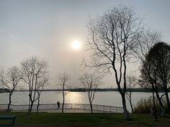 -贡湖湾湿地公园