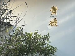 -青桃餐厅