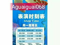 -洛阳龙门海洋馆