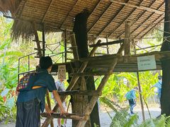 -大象粑粑造纸公园