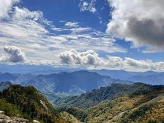 -朱雀国家森林公园