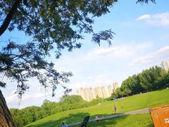 -长白岛森林公园