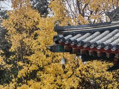 -香山公园