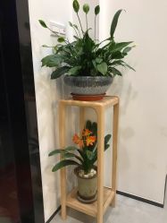 -云上瑜伽·普拉提·维密馆