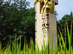 -北坞公园