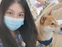 -怪兽屋·羊驼·猫咖·狗咖(俊华广场店)