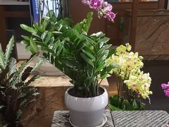 -黔蘑菇四季餐厅(观山湖店)