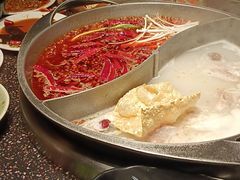 -宽巷子成都火锅(南站店)