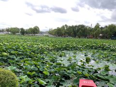 -长春市南湖公园