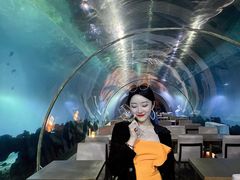 -涛·海底餐厅·美人鱼·自助餐·海底隧道(三亚海棠湾洲际度假酒店)