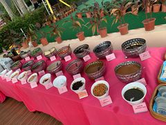 自助调料区-渔家火锅·海鲜自助餐·演艺(亚龙湾天域酒店)
