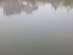 android_upload_pic-文瀛公园