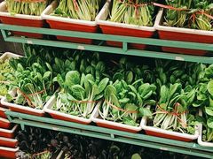 -天和晟烤鸭店(玉泉西街店)