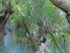 -Chom Cafe and Restaurant