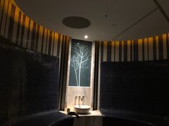 -春晖园度假酒店温泉