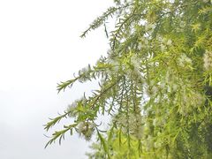 -金海湾滨江公园