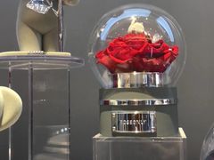 -ROSEONLY诺誓(青岛万象城店)