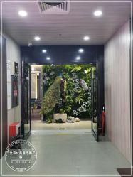 -北京炫美医疗美容