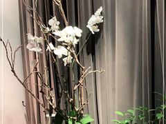 -La Maison 夜来香(进贤路店)