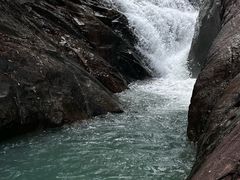 -广州白江湖森林公园