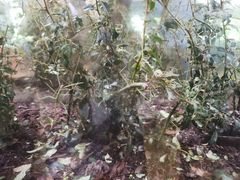 -上海昆虫博物馆