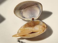 -好朋友海鲜烧烤火锅(振三街店)