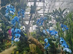 -北京植物园-展览温室