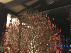 -河源万绿湖美思威尔顿酒店