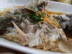 清蒸红眼鱼-下梅人家土菜馆(历史文化餐厅度假区店)