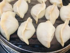 -老马家蒸饺(南海街店)