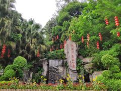 -广州市流溪河国家森林公园