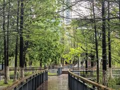 -月湖风景区