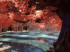 -寻梦盛唐主题水会(龙岗店)