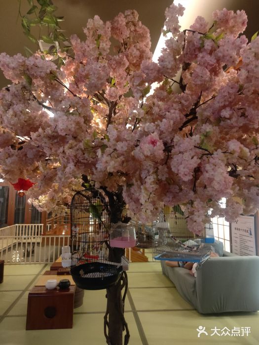 汤泉良子(金源店)图片