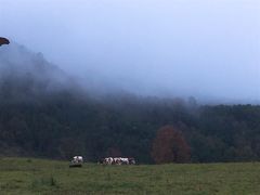 -硗碛藏寨·神木垒景区