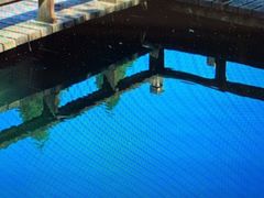 -西湖外事游船(花港观鱼码头)