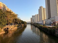 -黄连大头华烧鹅店(大良店)