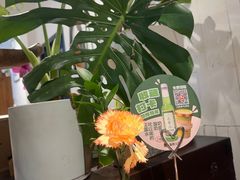 -懒人盐府人家(安贞店)